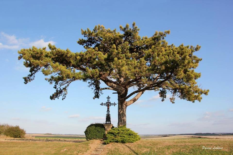 Auberge Du Pied Des Monts Grivy-Loisy Kültér fotó